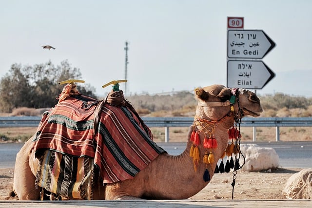 התניידות בישראל